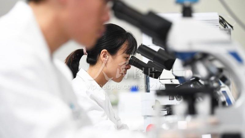 生物医药外包服务：性价比背后的考量因素