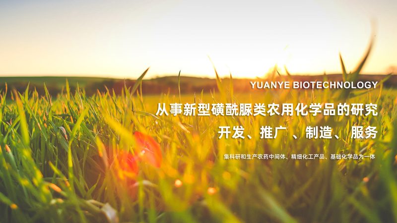 CDMO产能匹配：如何精准匹配，确保药物研发高效推进