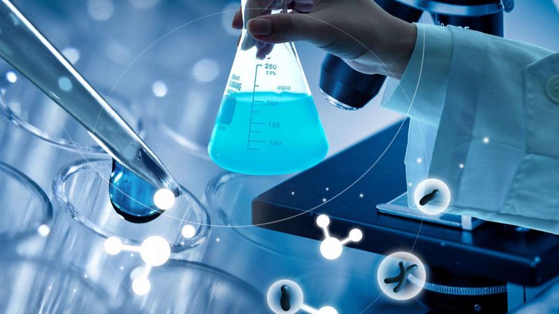 基因测序引物设计：精准科学，解锁生命奥秘