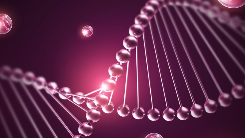 细胞工厂定制厂家：揭秘定制化生物制药的未来