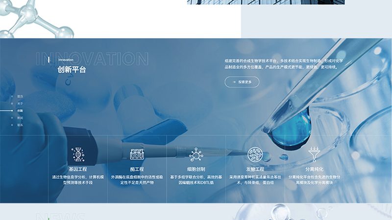 引物合成：修饰规格参数解析**