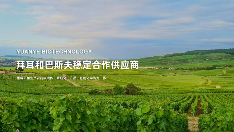 酶型号大全：解码生物催化世界的密码