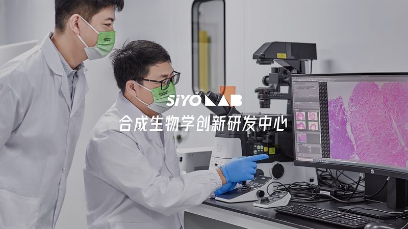 鼠抗人单克隆抗体规格解析：揭秘0.1mg与0.5mg的差异**