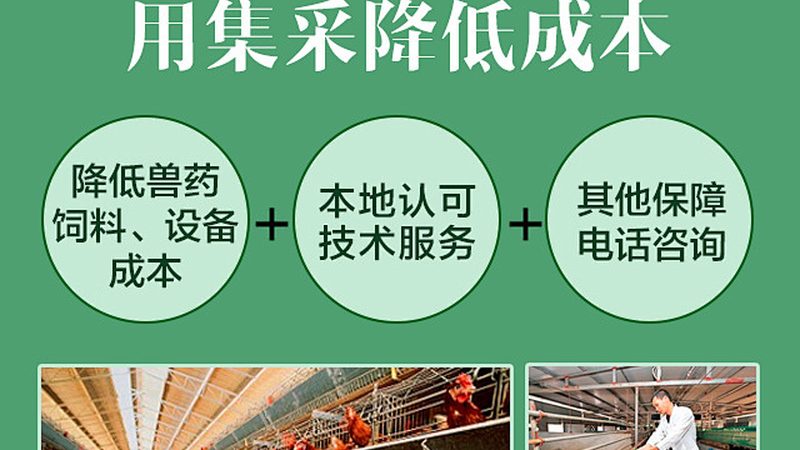 饲用酶制剂：如何识别优质品牌**