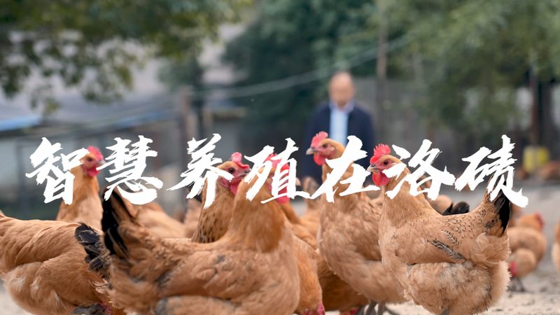 实验室耗材材质优缺点