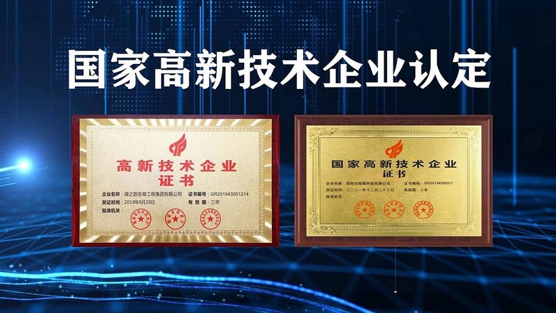 生物药CDMO定制服务流程揭秘：从研发到上市的关键步骤