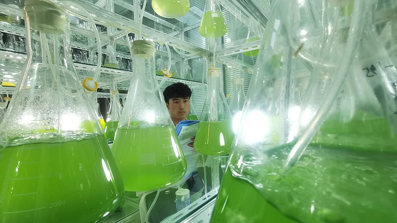 科研机构试剂采购：流程解析与关键点提示**